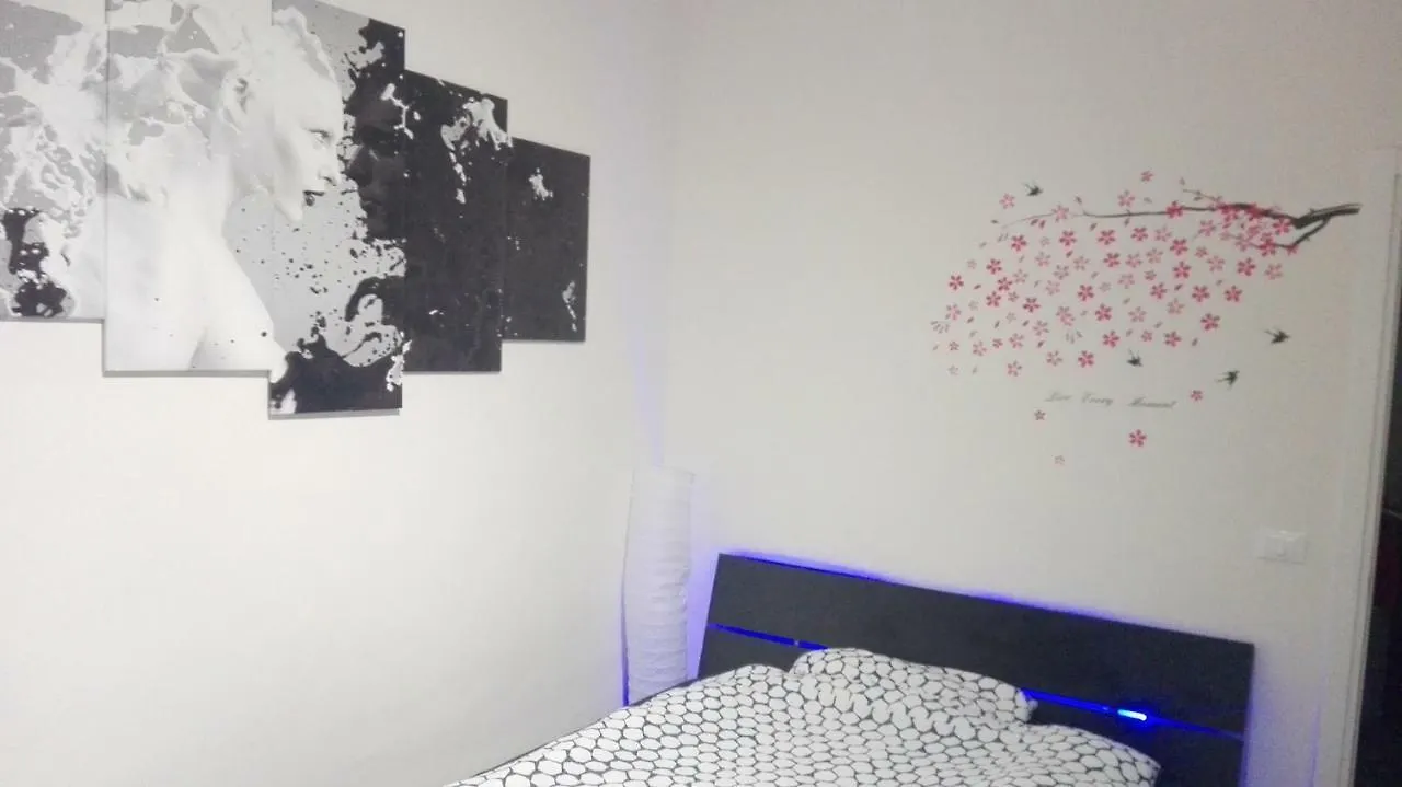 Brand New Apartment In Fiera Bolonya